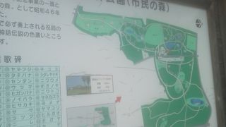 森林公園ですね