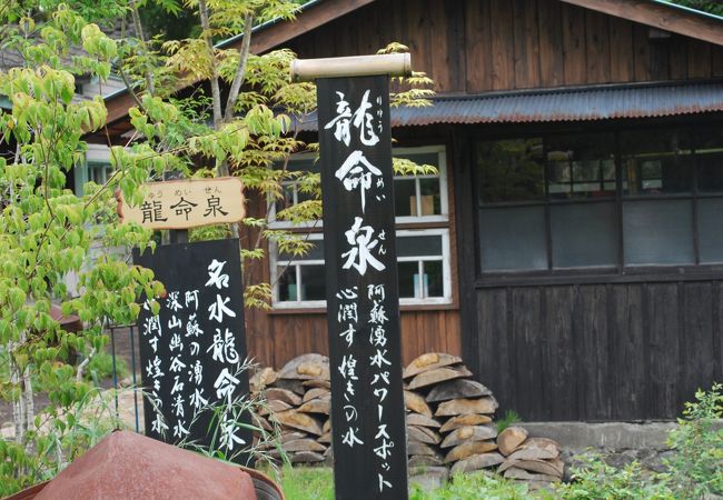 阿蘇神社参道の桜ライトアップ