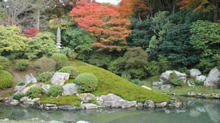 ひっそりと落ち着いた風情のお寺