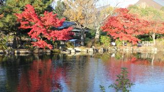 桜が有名ですが