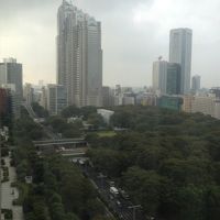 ホテルからの眺めです