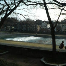 散歩する方がちらほらいました。