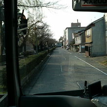 川沿いは静かな並木道「犀星のみち」があります。