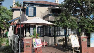 オランダ総領事