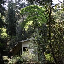 小屋が見えました。