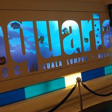 ちなみに水族館。