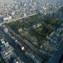 眼下に見える天王寺公園