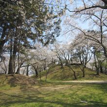 古墳（裏側から）