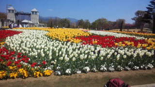 季節の花々が見事です！