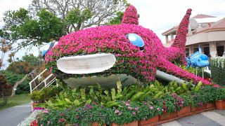 美ら海水族館行くまでの道