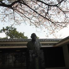 さくら満開の斎藤茂吉記念館 By ボビー 公益財団法人斎藤茂吉記念館のクチコミ フォートラベル