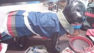 ハーネス ドッグ (上本町YUFURA店)