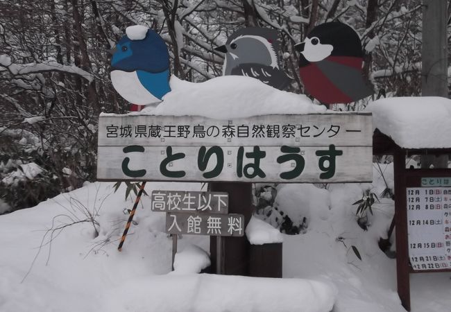 ことりはうす(宮城県蔵王野鳥の森自然観察センター)