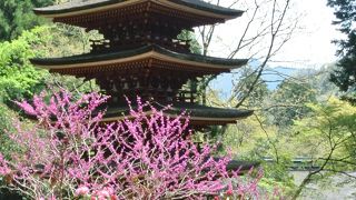 女人高野室生寺