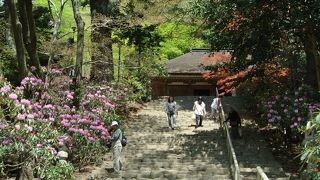 女人高野の代表　如意輪観音