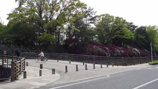 市民の憩いの場