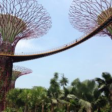 OCBCスカイウェイ