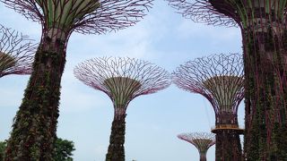 とにかく広くて新感覚☆