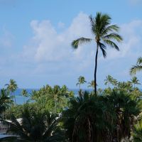 パーシャルオーシャンビュー