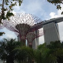 スーパーツリーとベイ・サンズ