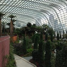 フラワー・ドーム