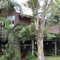 自然たっぷり。。。というか自然だらけ　虫は不思議といません