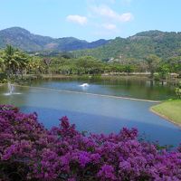 ホテルの奥には広大なラグーン