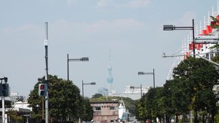 竹芝埠頭への道