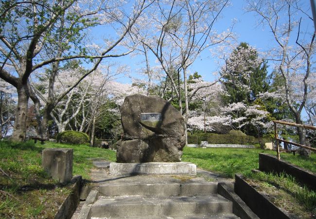 小規模ですが桜がいっぱいある城跡です