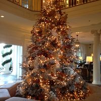 エントランスのツリー