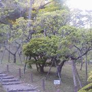 平和大塔の奥の階段を下れば「梅林」～成田山新勝寺～