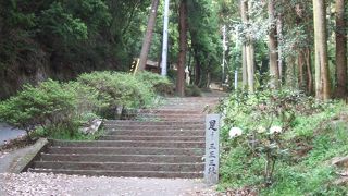 厳しい階段の上には！