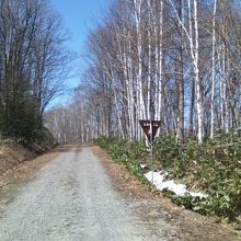 公園内の風景の一例