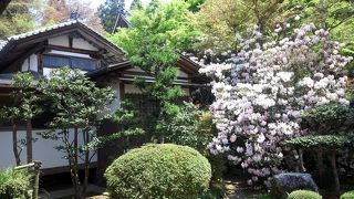 人では少ない目でした