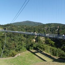 渡るのを断念した彼女が、渡っている私を撮影