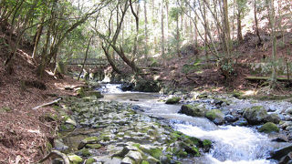 マイナスイオンをたっぷり浴びて