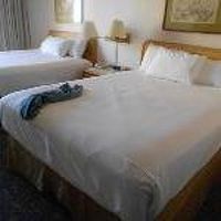 広くて開放的な部屋