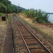 時々列車が来ます。