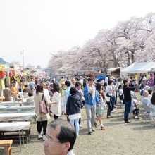 花見の風景（桧木内川わき）