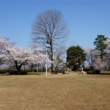 公園内