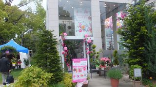 母の日フェアを開催中