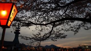 高田千本桜です。桜の時期にはぜひここへ。