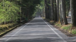 国の重要文化財でもある建物