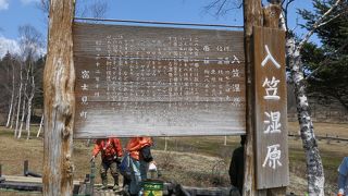 手軽な山野草観察場所