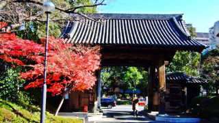 増上寺 黒門 （旧方丈門）