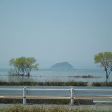 遠くに竹生島を望む