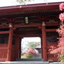 紫雲山の仁王門です。奥に観覧車が見えます。