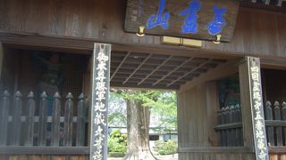 裏には五百羅漢！