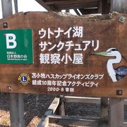土日のみのオープンの日本野鳥の会の施設！