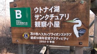 土日のみのオープンの日本野鳥の会の施設！